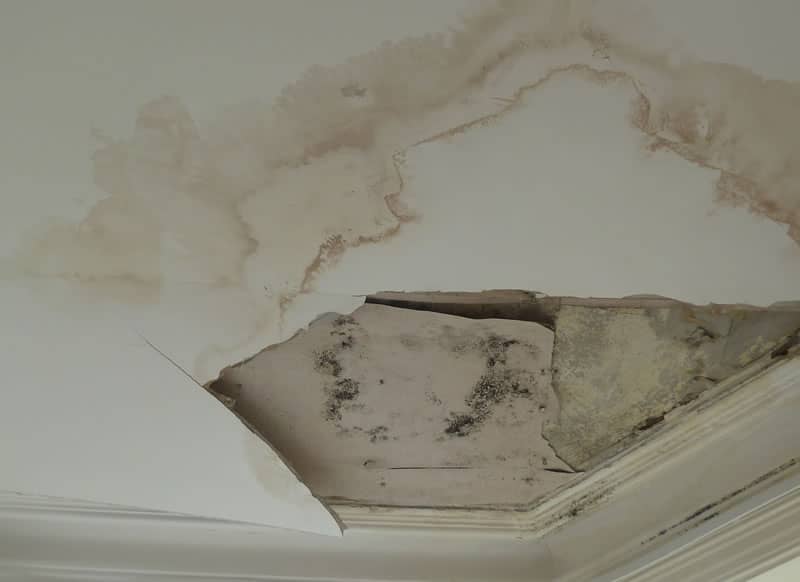 Damp Ceiling and Wall Prevention & Treatmen - Croydon